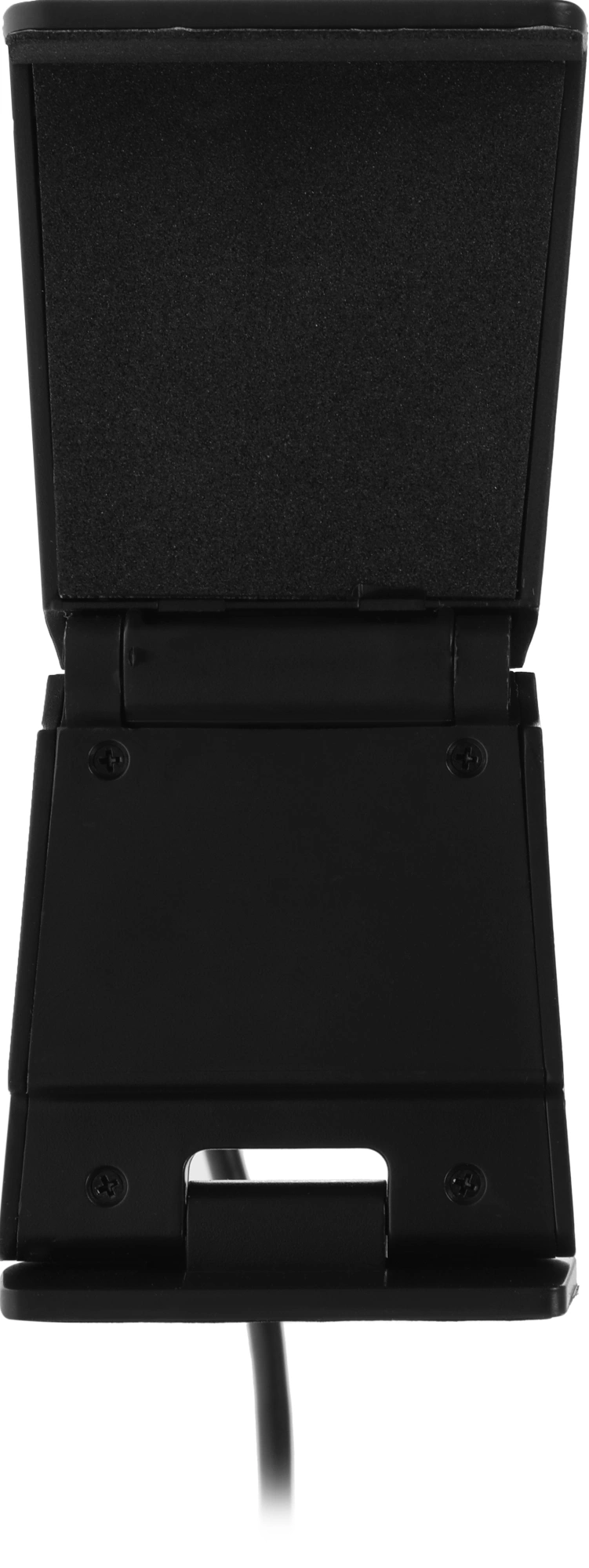 Камера Web Ritmix RVC-250 черный 5Mpix (2592x1944) USB2.0 с микрофоном