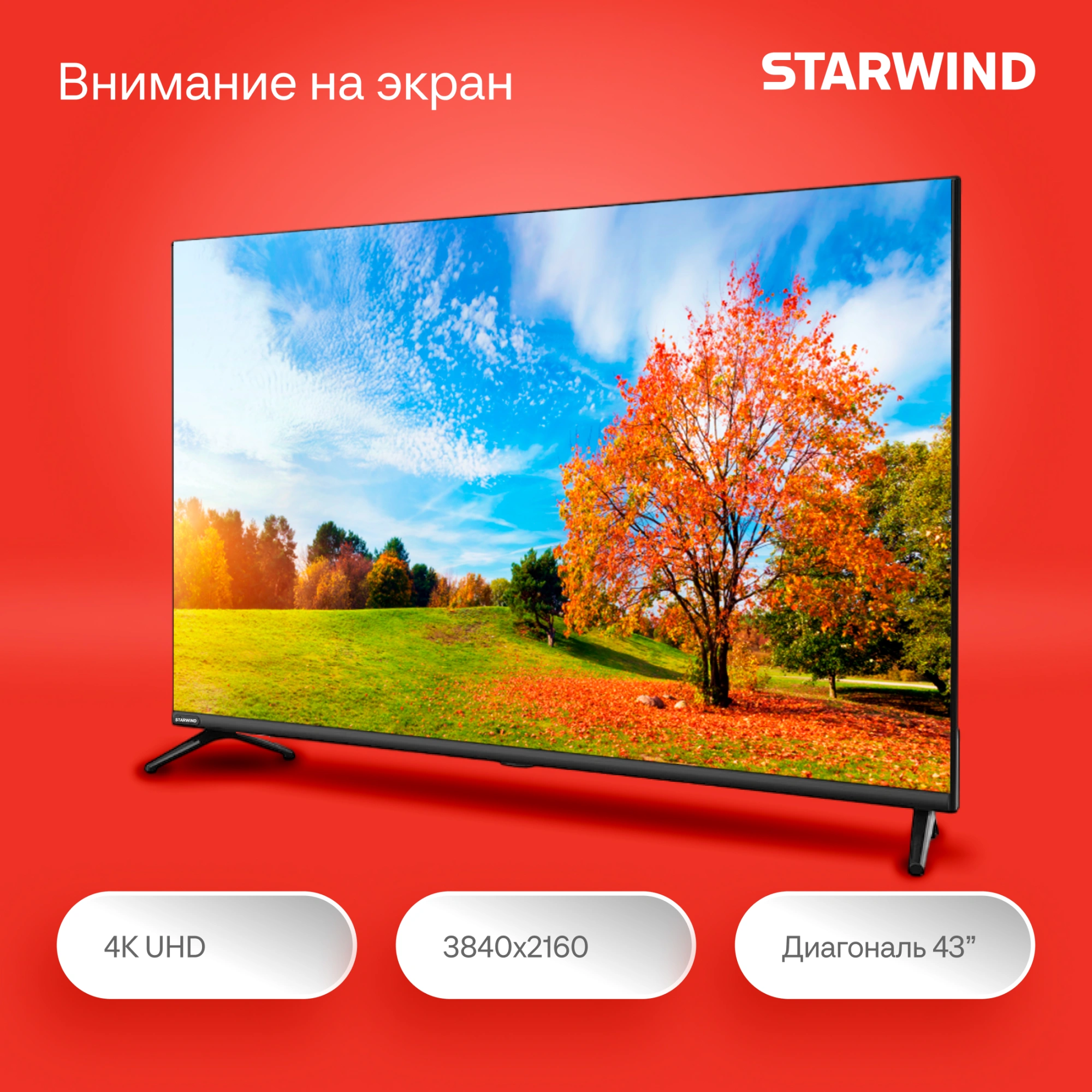 Телевизор LED Starwind 43" SW-LED43UG405 Яндекс.ТВ Frameless черный 4K Ultra HD 60Hz DVB-T DVB-T2 DVB-C DVB-S DVB-S2 USB WiFi Smart TV