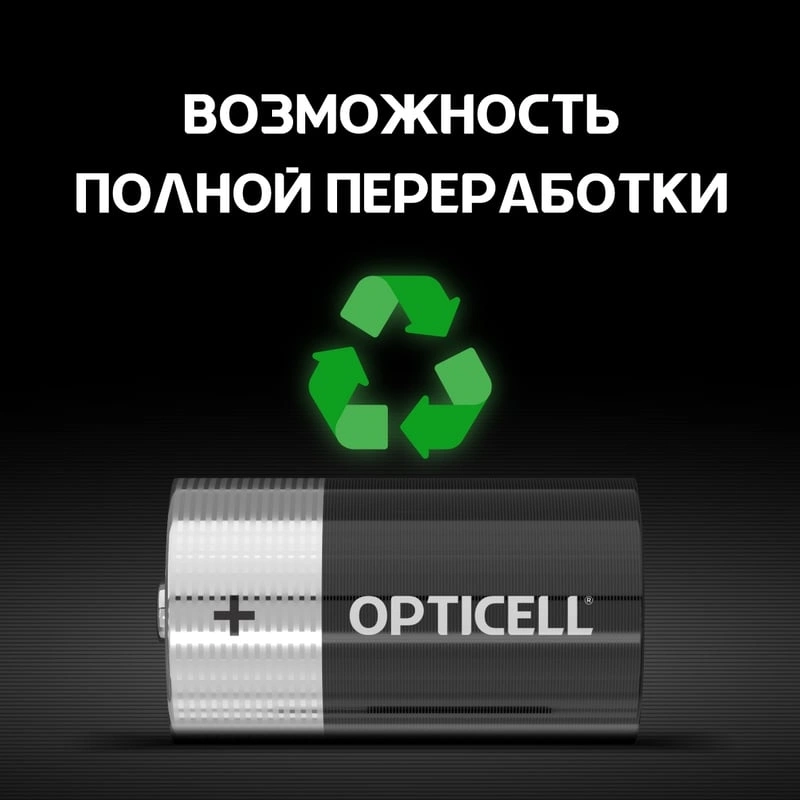 Батарея Opticell Basic LR20 D (2шт) блистер