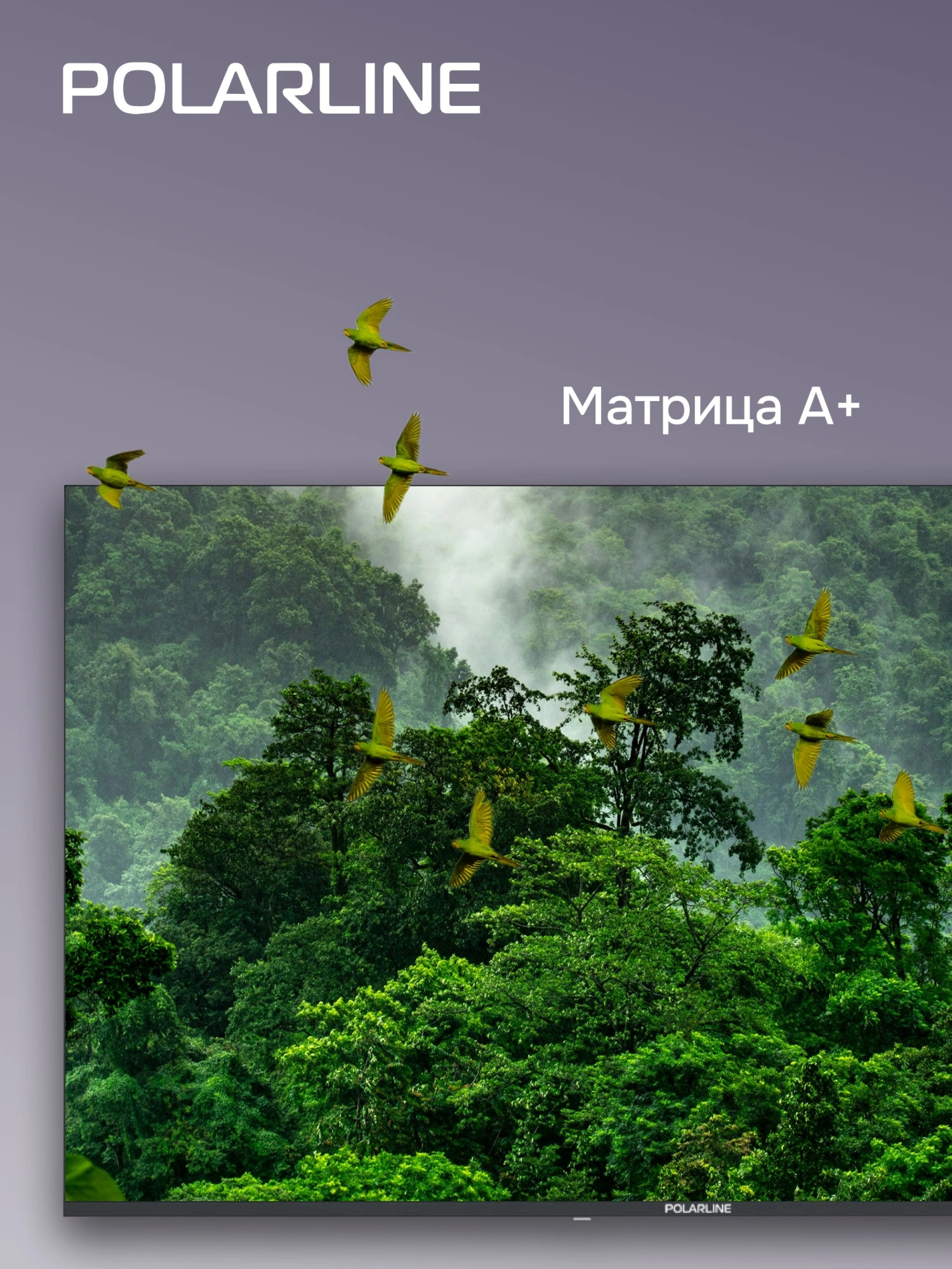 Телевизор LED PolarLine 40" 40PL53TC-SM Frameless черный FULL HD 60Hz DVB-T DVB-T2 DVB-C DVB-S2 USB WiFi Smart TV (RUS)