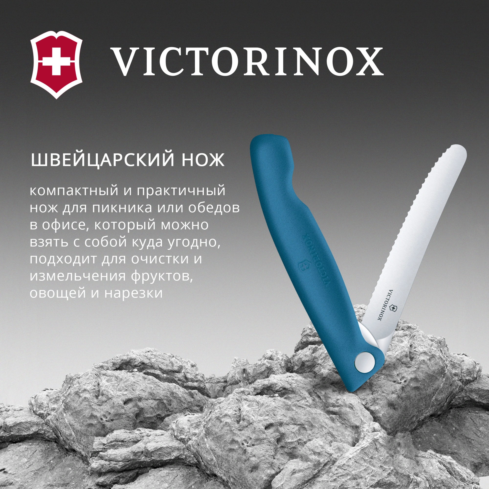 Нож кухонный Victorinox Swiss Classic 6.7832.FC1 стальной столовый лезв.110мм серрейт. заточка синий карт.коробка