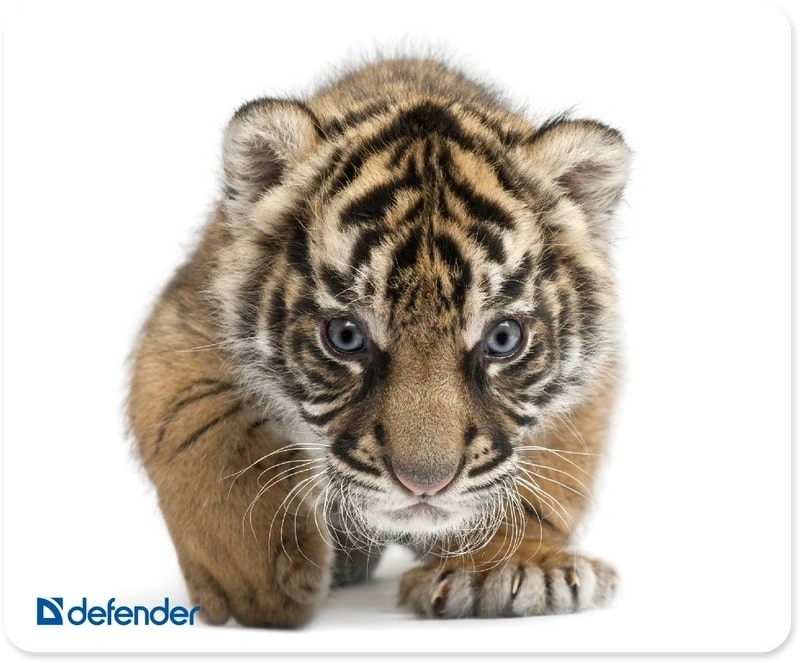 Коврик для мыши Defender Silk Мини рисунок 230x190x1.6мм (50706)