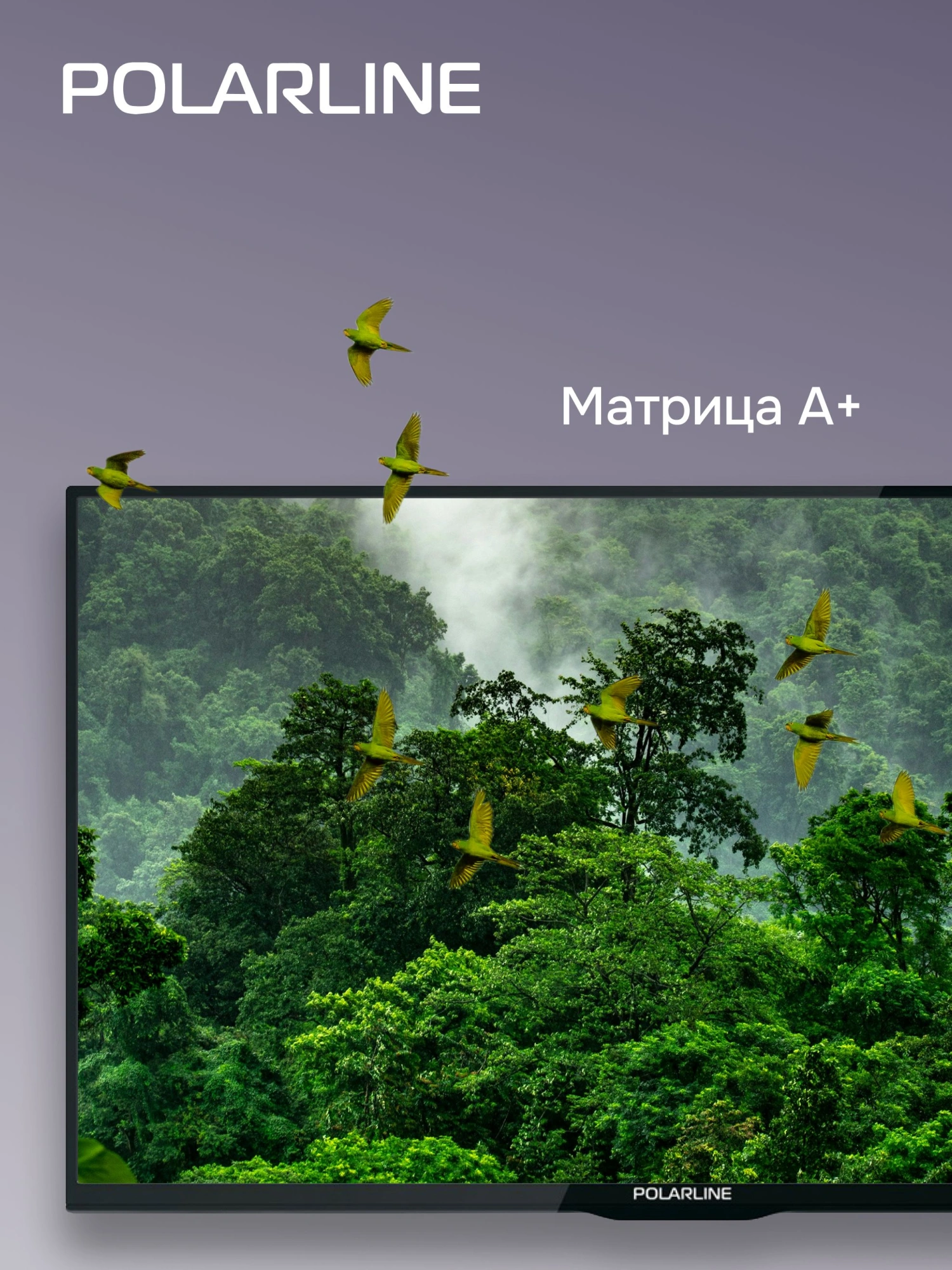 Телевизор LED PolarLine 32" 32PL54TC-SM черный/серебристый HD 60Hz DVB-T DVB-T2 DVB-C USB WiFi Smart TV (RUS)