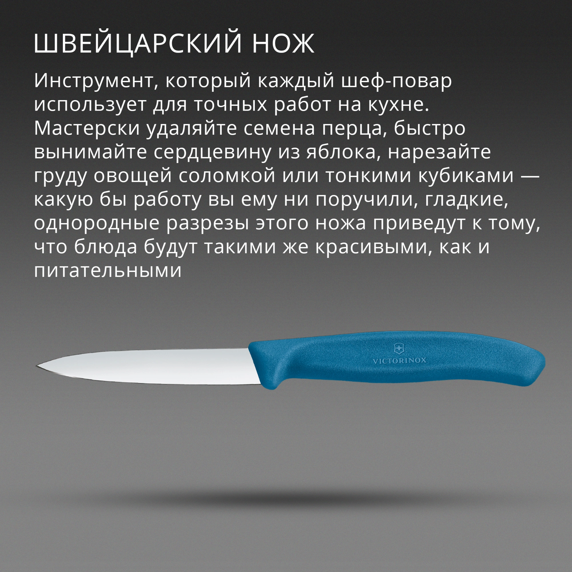 Нож кухонный Victorinox Swiss Classic 6.7602.C1 для чистки овощей и фруктов лезв.80мм прямая заточка синий