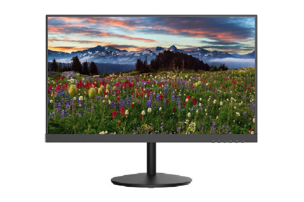 Монитор Hikvision DS-D5222F2-1V1S (21.5", 1920х1080, VA)