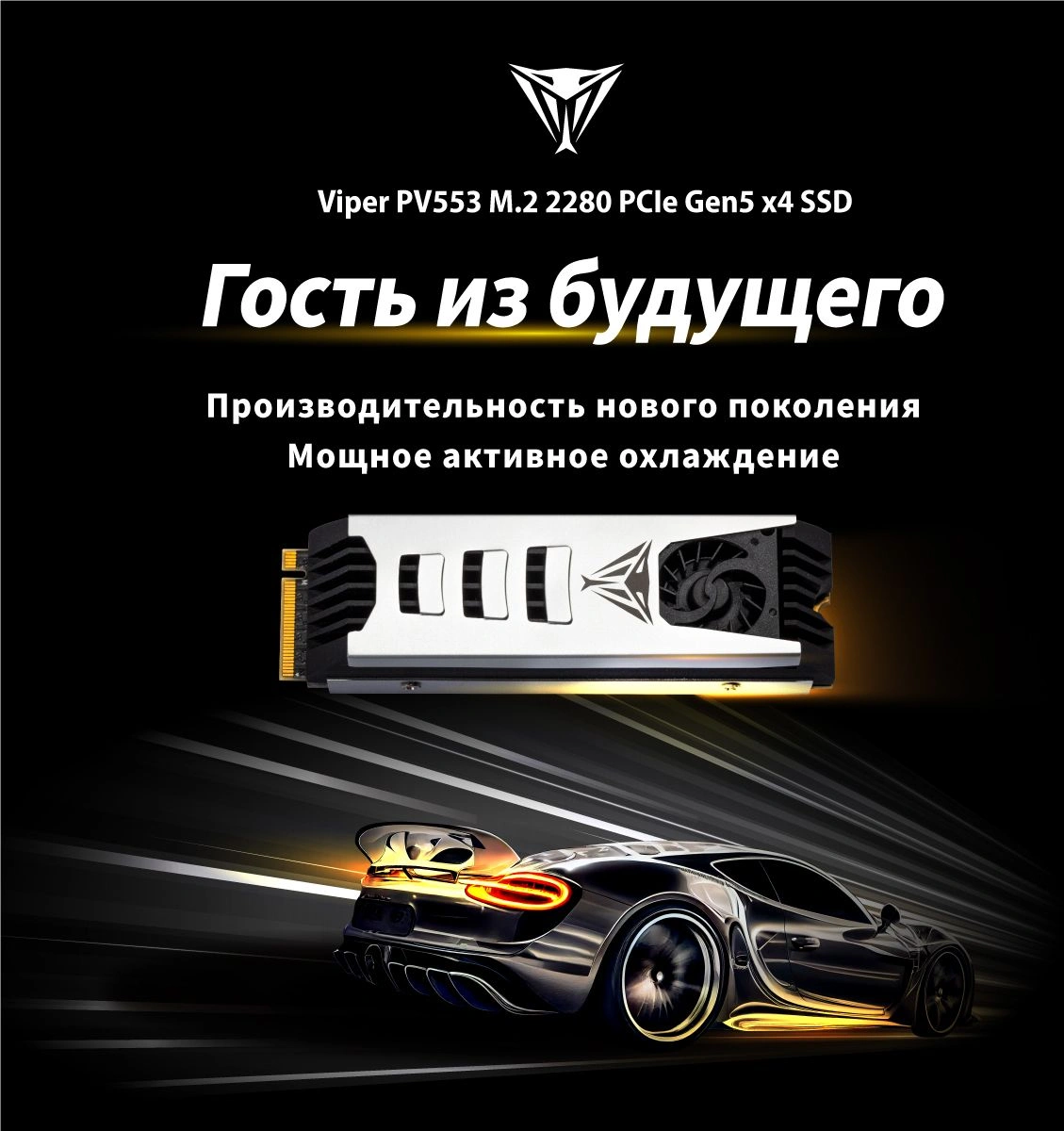 Накопитель SSD Patriot PCIe 5.0 x4 1TB PV553P1TBM28H PV553 M.2 2280