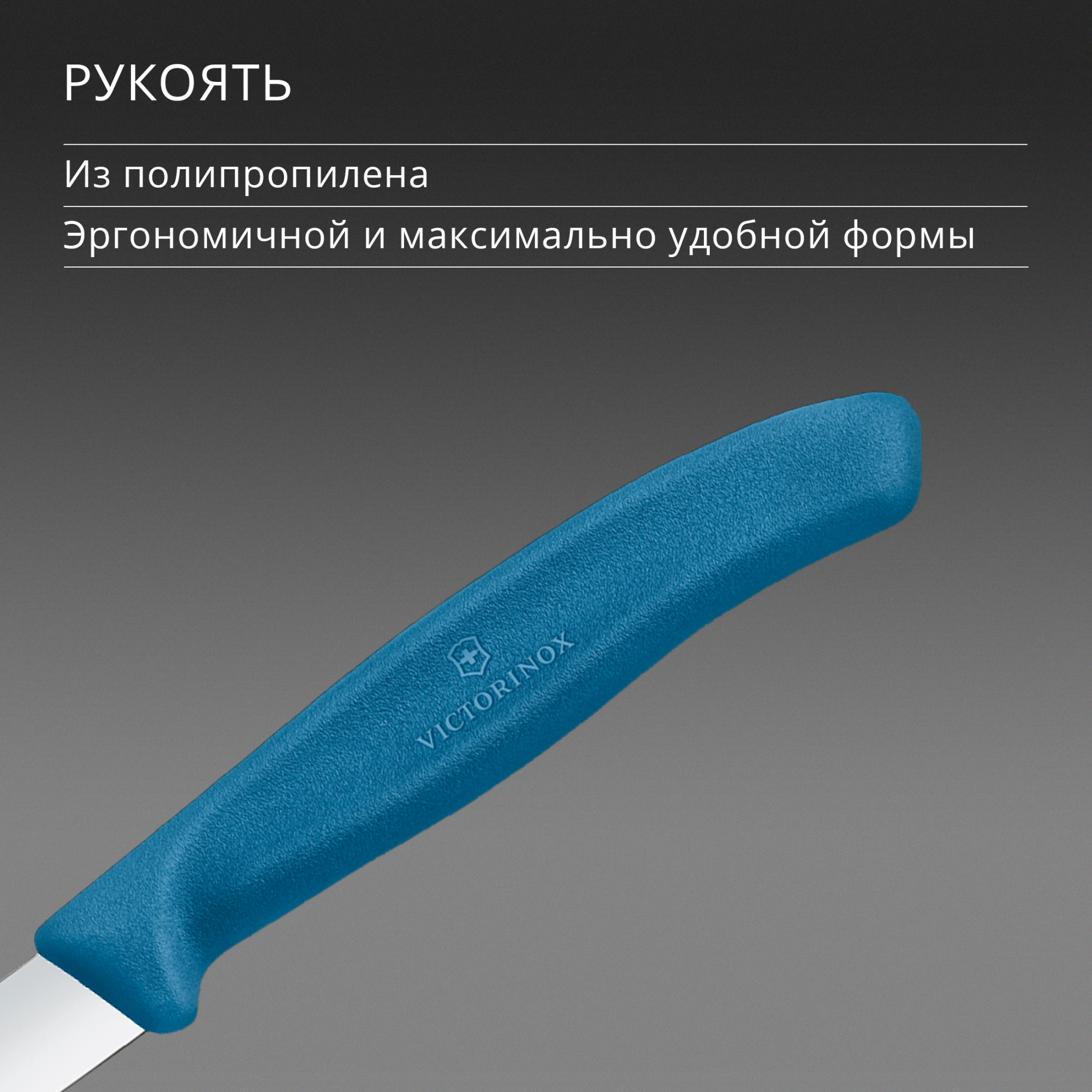 Нож кухонный Victorinox Swiss Classic 6.7602.C1 для чистки овощей и фруктов лезв.80мм прямая заточка синий