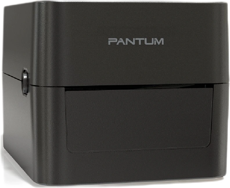 Термопринтер Pantum PT-D160N 203dpi 152мм/с/USB/Eth для печ.накл. черный