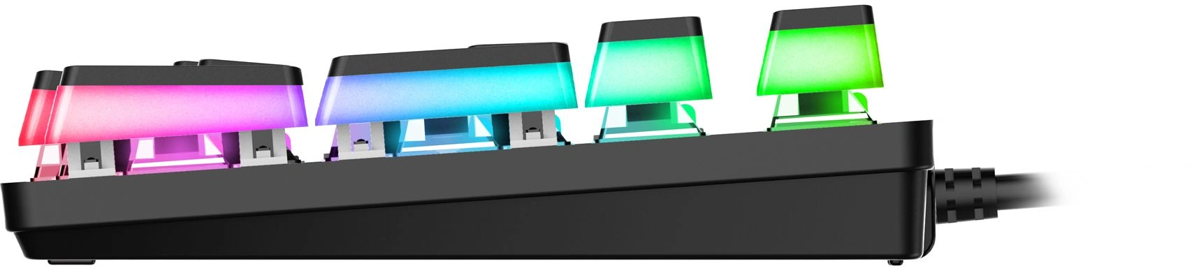 Клавиатура Acer OKW303 механическая черный/серый USB for gamer LED (ZL.KBDCC.01D) кабель 1.8м