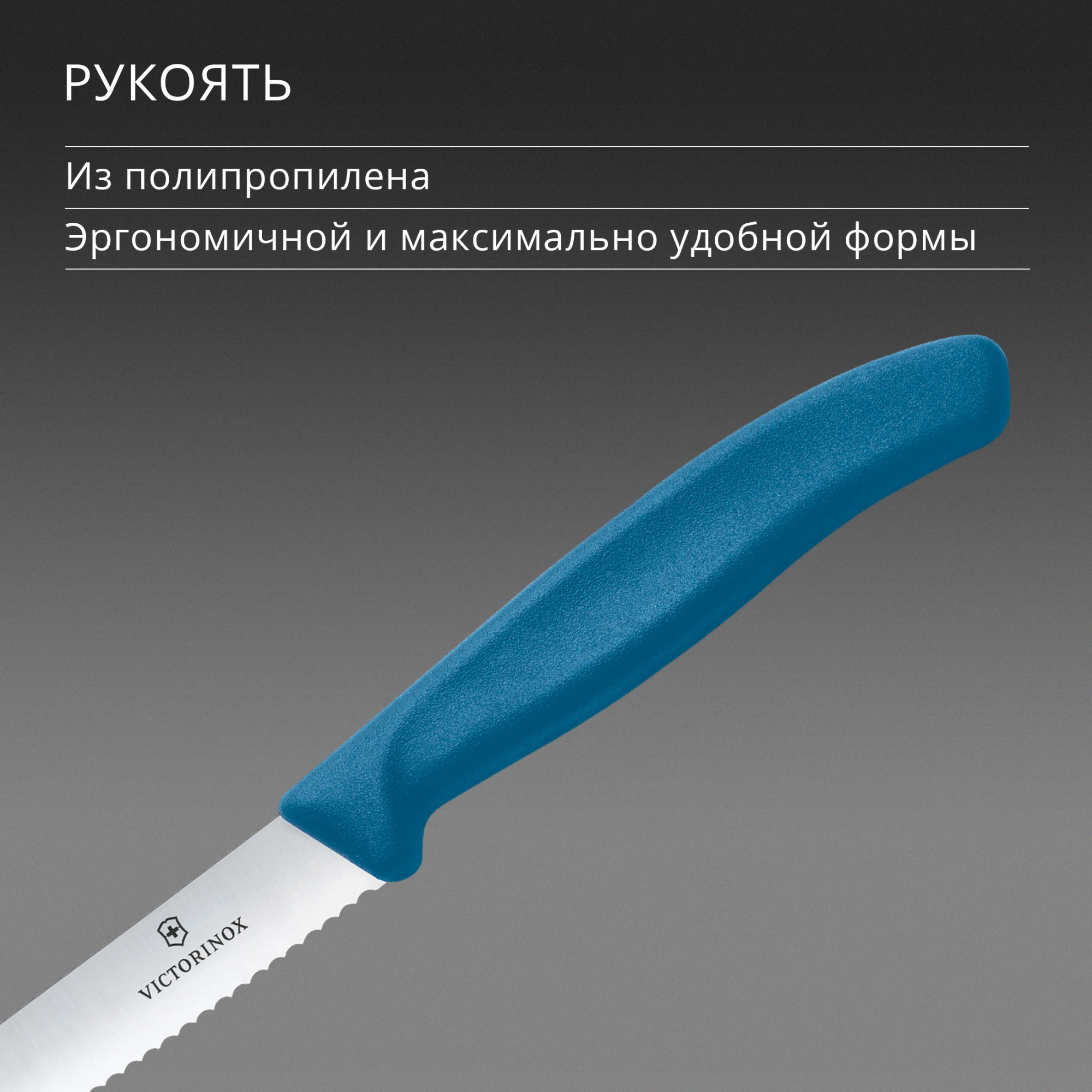 Нож кухонный Victorinox Swiss Classic 6.7832.C1 стальной столовый лезв.110мм серрейт. заточка синий