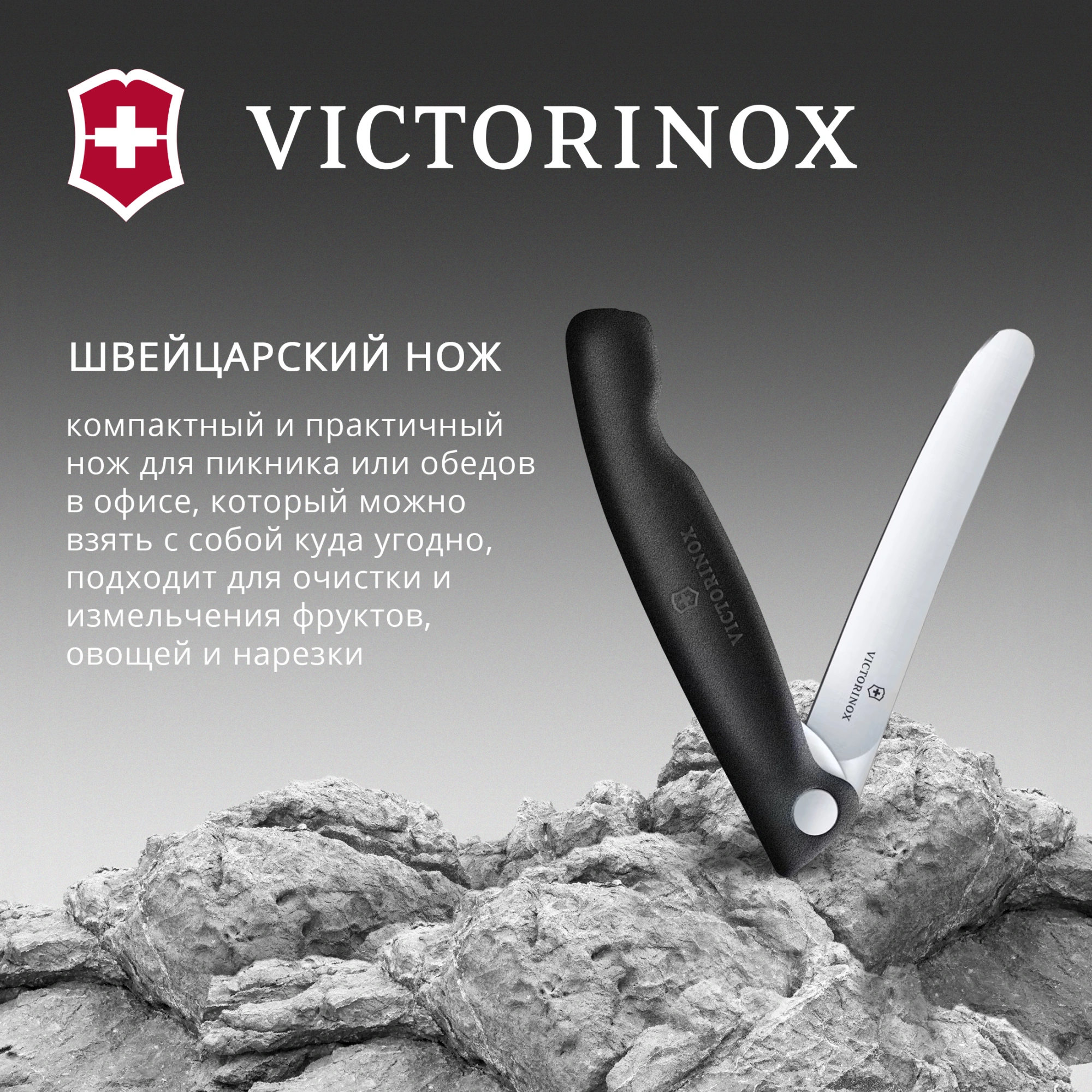 Нож кухонный Victorinox Swiss Classic 6.7803.F стальной столовый лезв.110мм прямая заточка черный карт.коробка