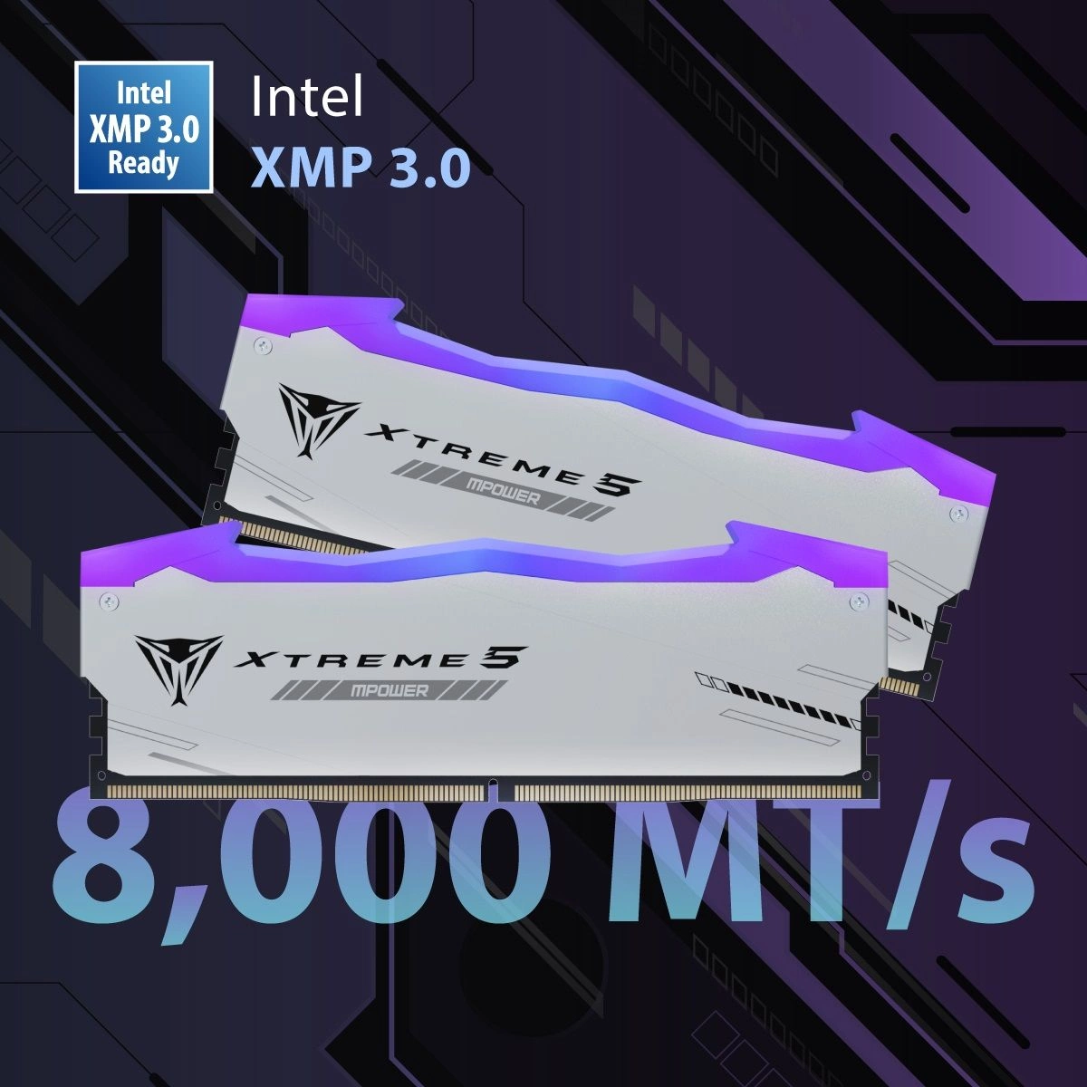 Память DDR5 2x24GB 6400MHz Patriot PVXR548G64C32KM Viper Xtreme 5 RGB RTL Gaming PC5-51200 CL32 DIMM 288-pin 1.4В с радиатором Ret