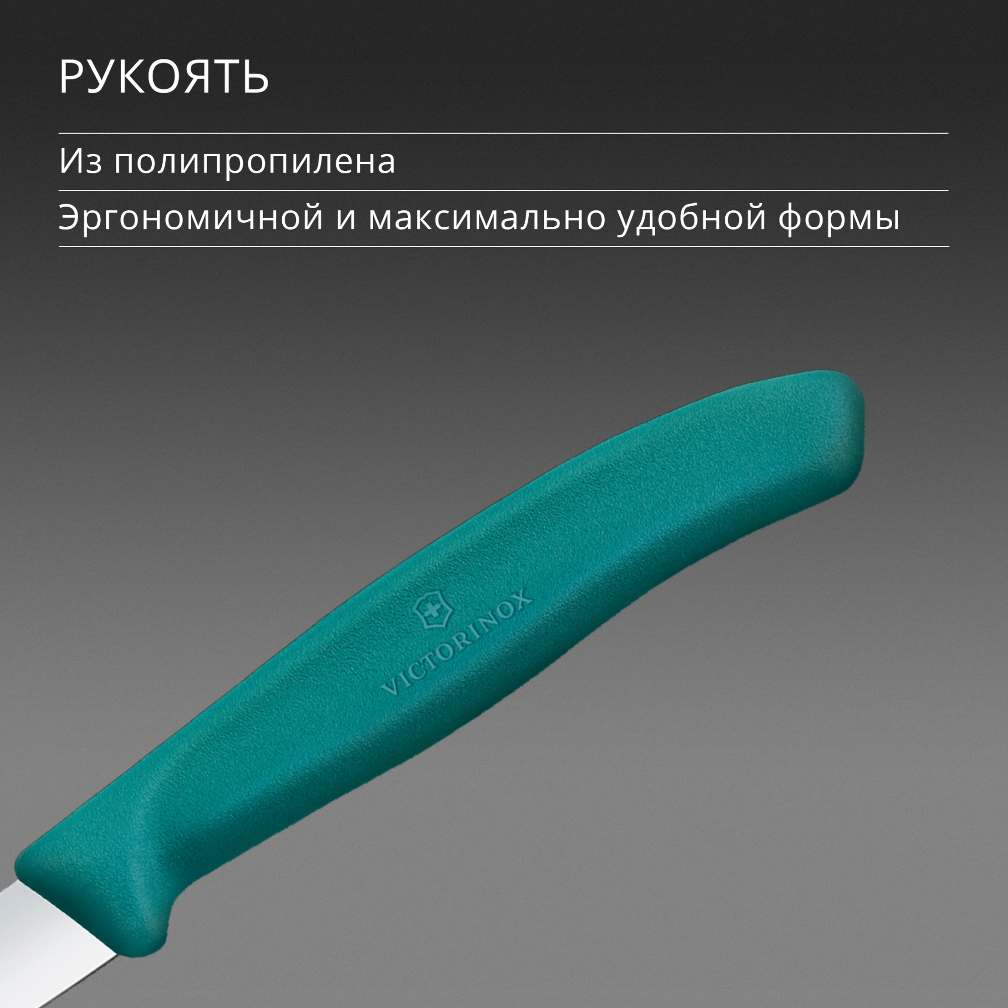Нож кухонный Victorinox Swiss Classic 6.7604.C1 для чистки овощей и фруктов лезв.80мм прямая заточка зеленый