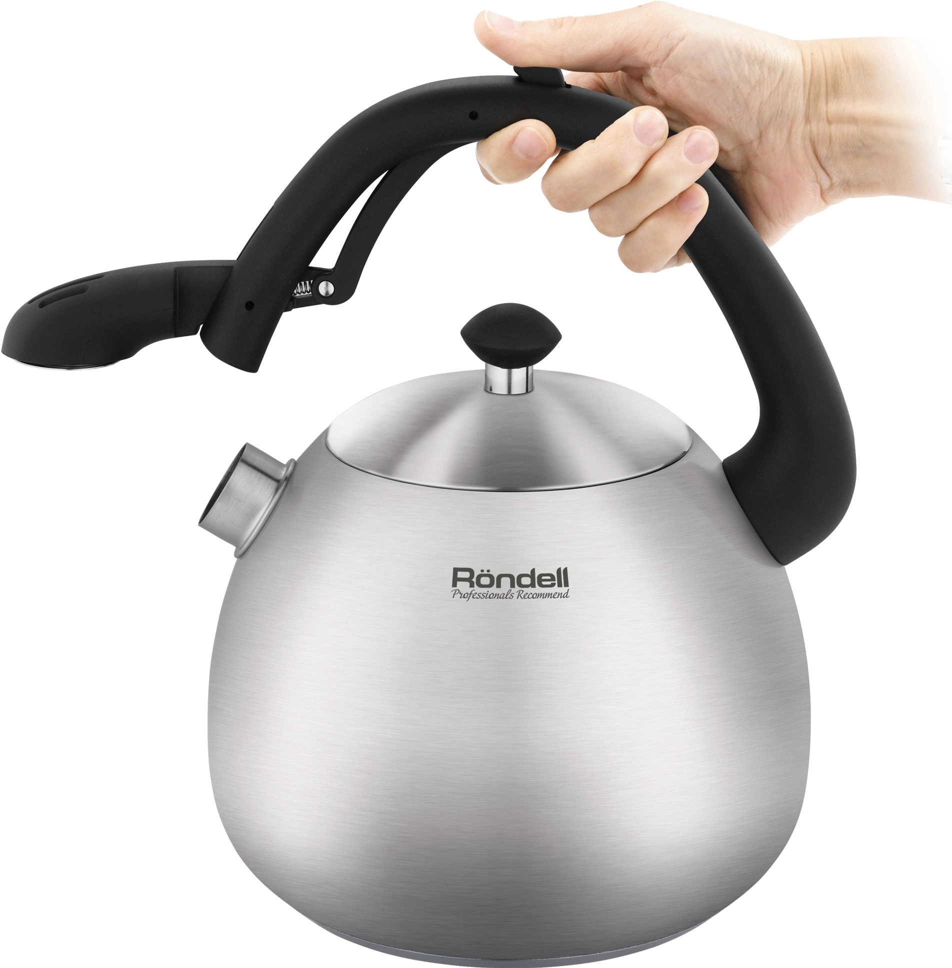 Чайник металлический Rondell Esfera RDS-1656 3л. стальной
