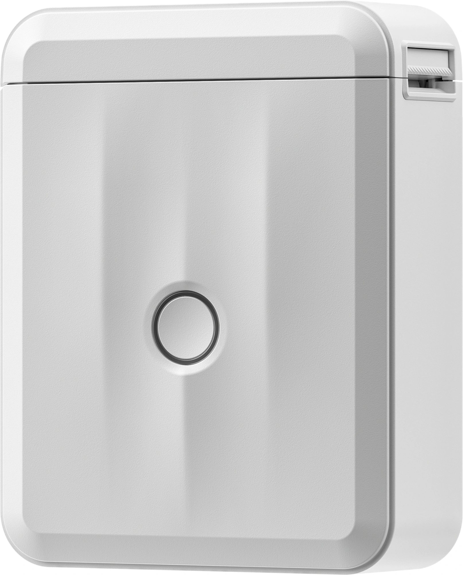 Термопринтер Niimbot D110 M (1746733) 203dpi 40мм/с/USB/BT для печ.этик. белый
