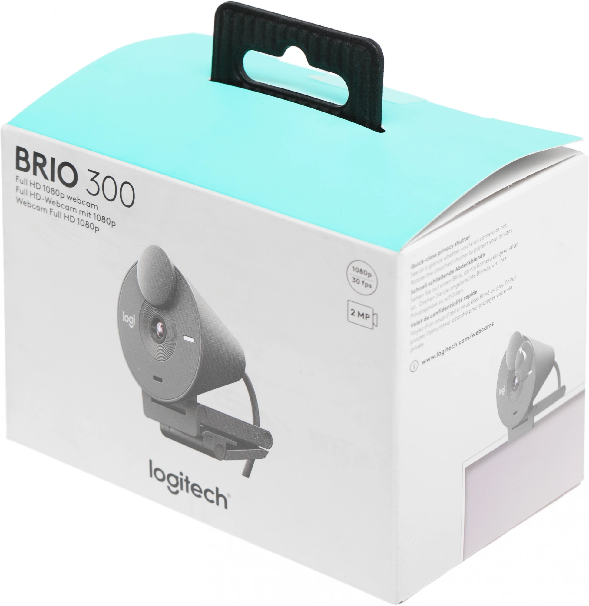 Камера Web Logitech HD Webcam Brio 300 черный 2Mpix (1920x1080) USB Type-C с микрофоном (960-001436)