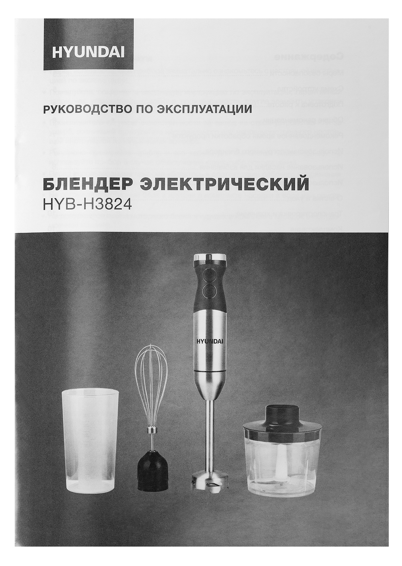 Блендер погружной Hyundai HYB-H3824 800Вт серебристый/черный