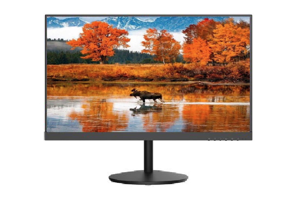 Монитор Hikvision DS-D5224F2-1V1S (23.8", 1920х1080, VA)