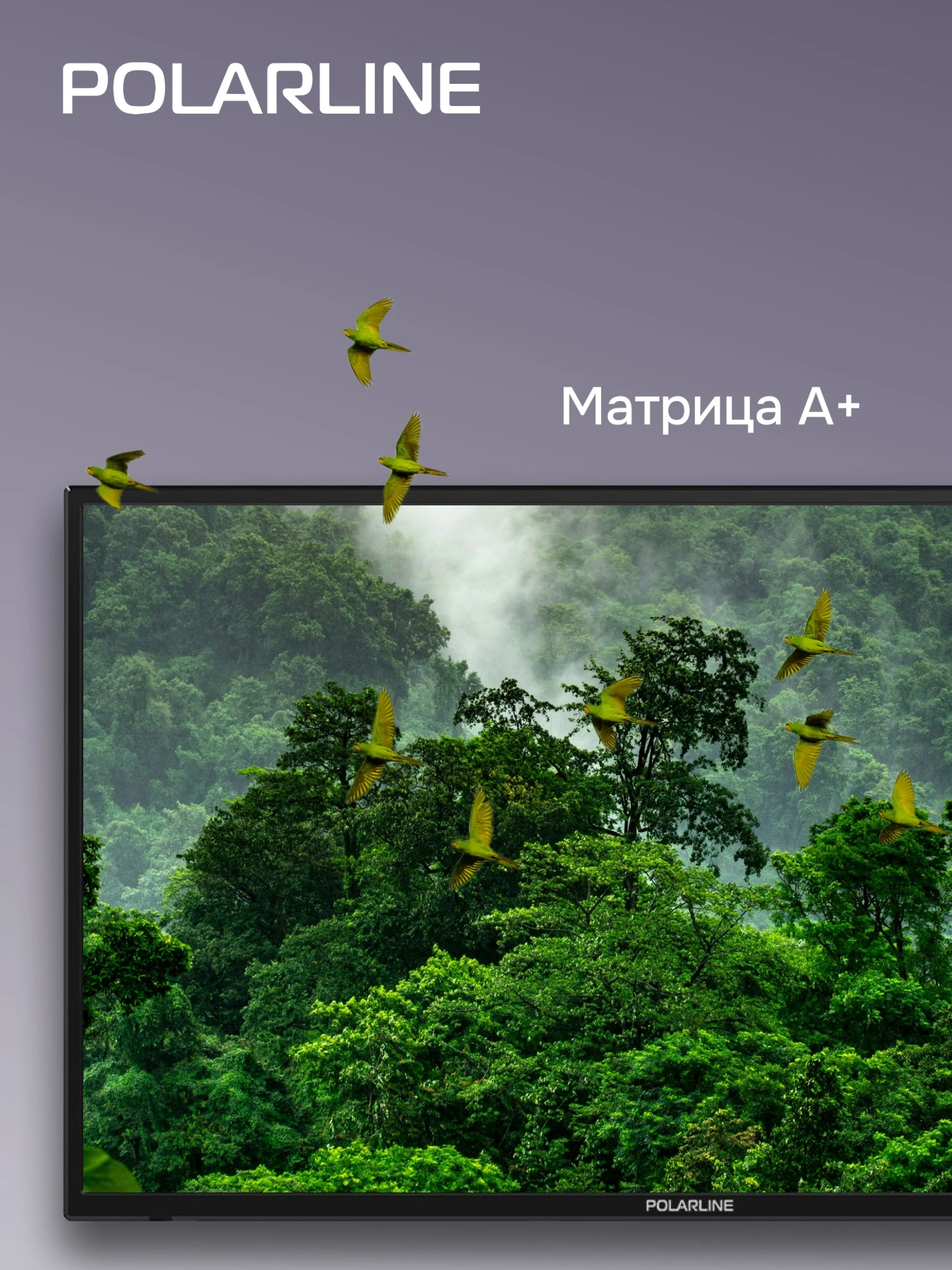 Телевизор LED PolarLine 32" 32PL54TC черный FULL HD 60Hz DVB-T DVB-T2 DVB-C USB (RUS)
