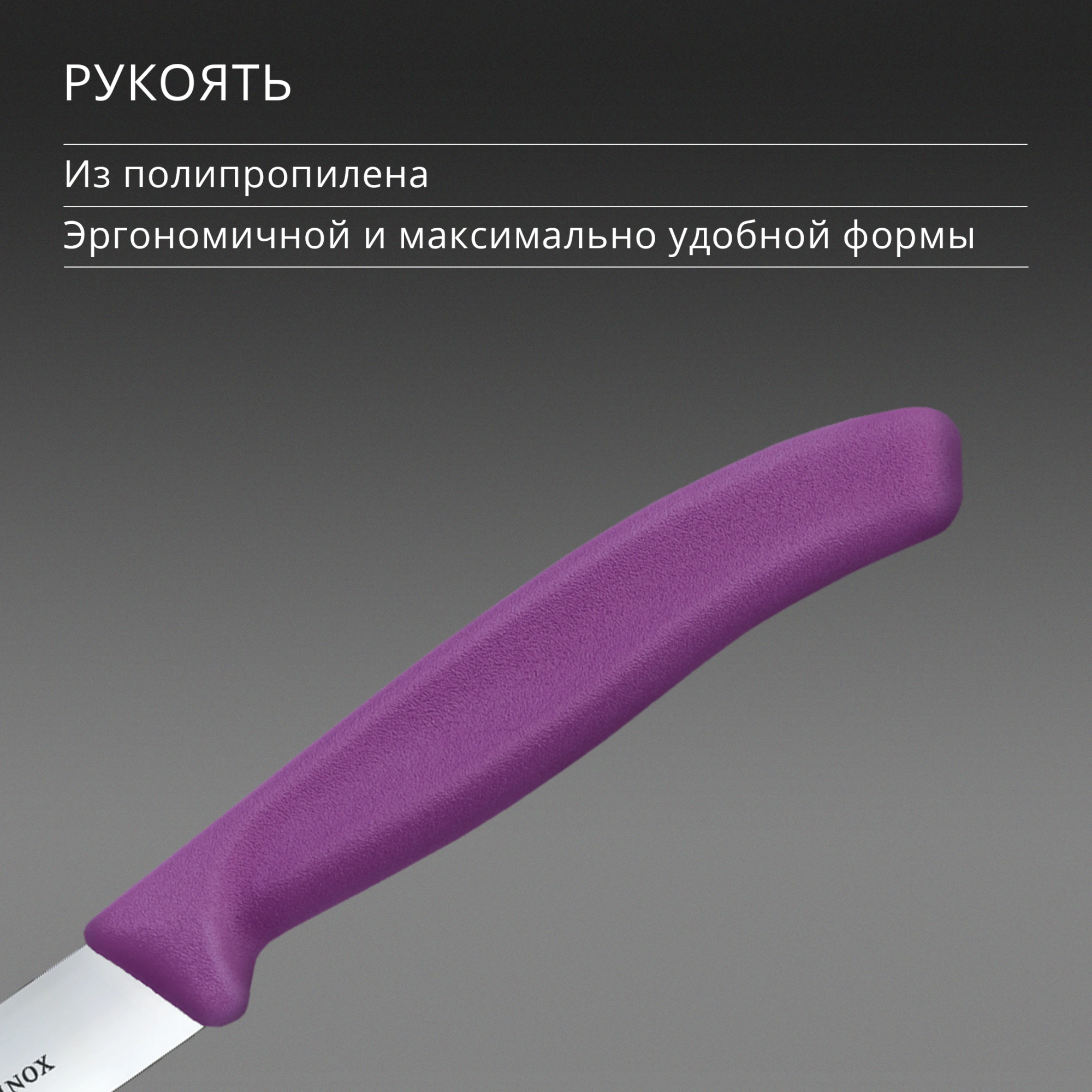 Нож кухонный Victorinox Swiss Classic (6.7705.C1) для овощей лезв.100мм прямая заточка пурпурный