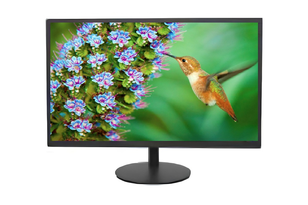 Монитор Hikvision DS-D5019S0-1P0 (18.5", 1366х768, IPS)