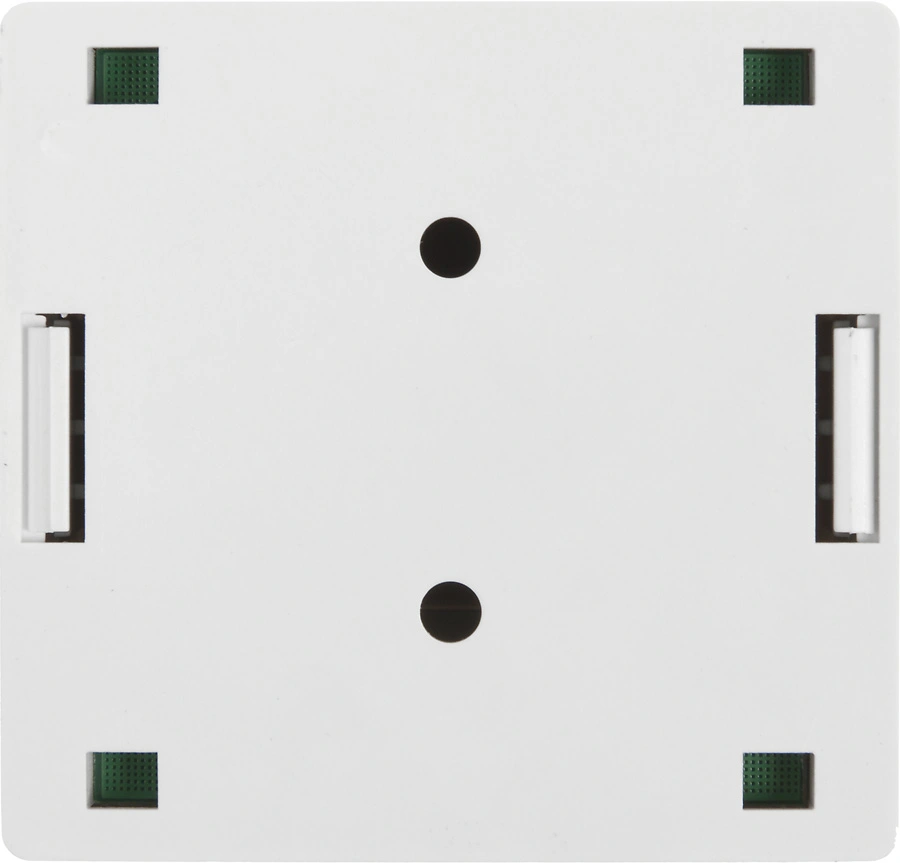 Розетка Lanmaster TWT-SM2-4545-WHRJ45 2 кат.5E бел. (упак.:1шт)