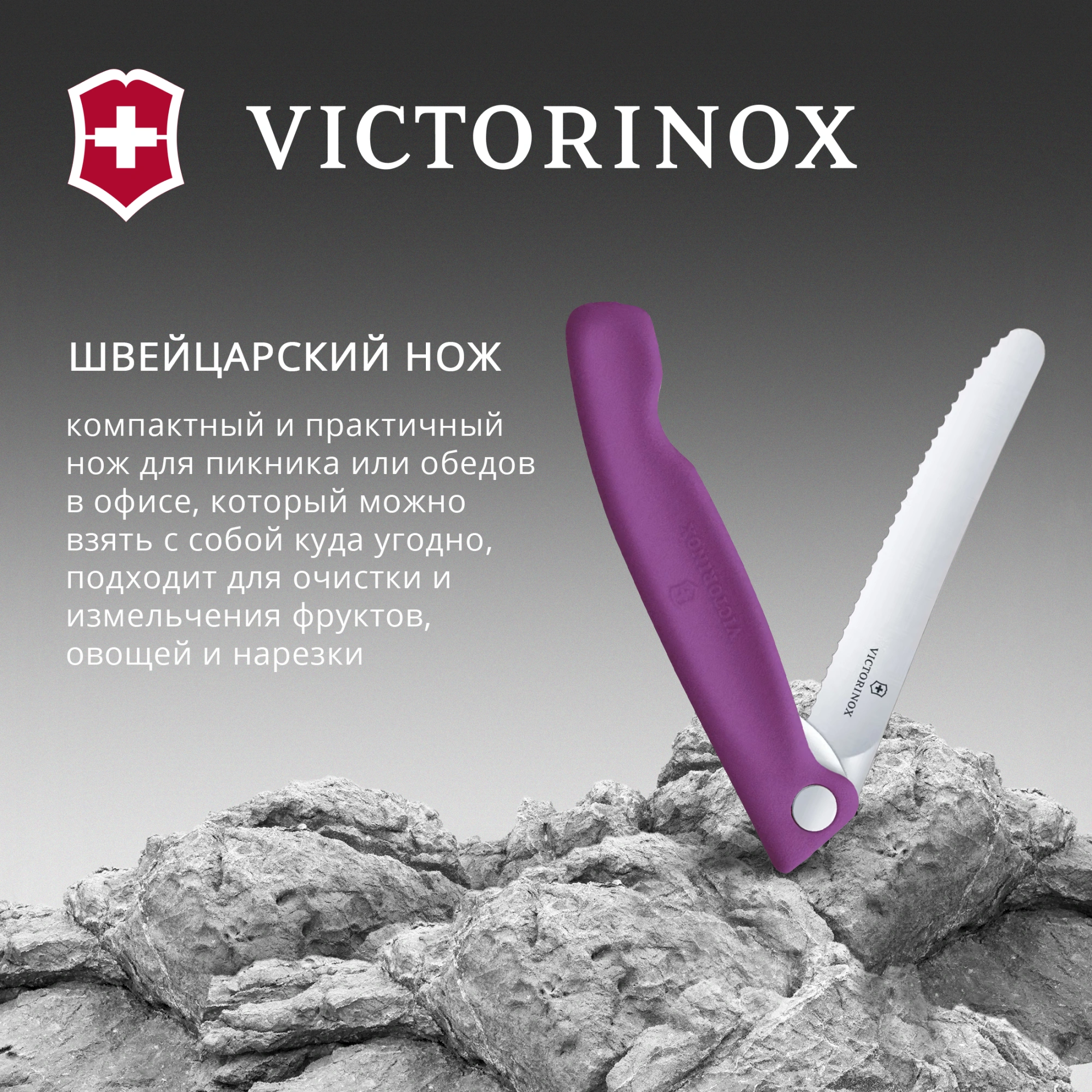 Нож кухонный Victorinox Swiss Classic 6.7835.FC1 стальной столовый лезв.110мм серрейт. заточка пурпурный карт.коробка