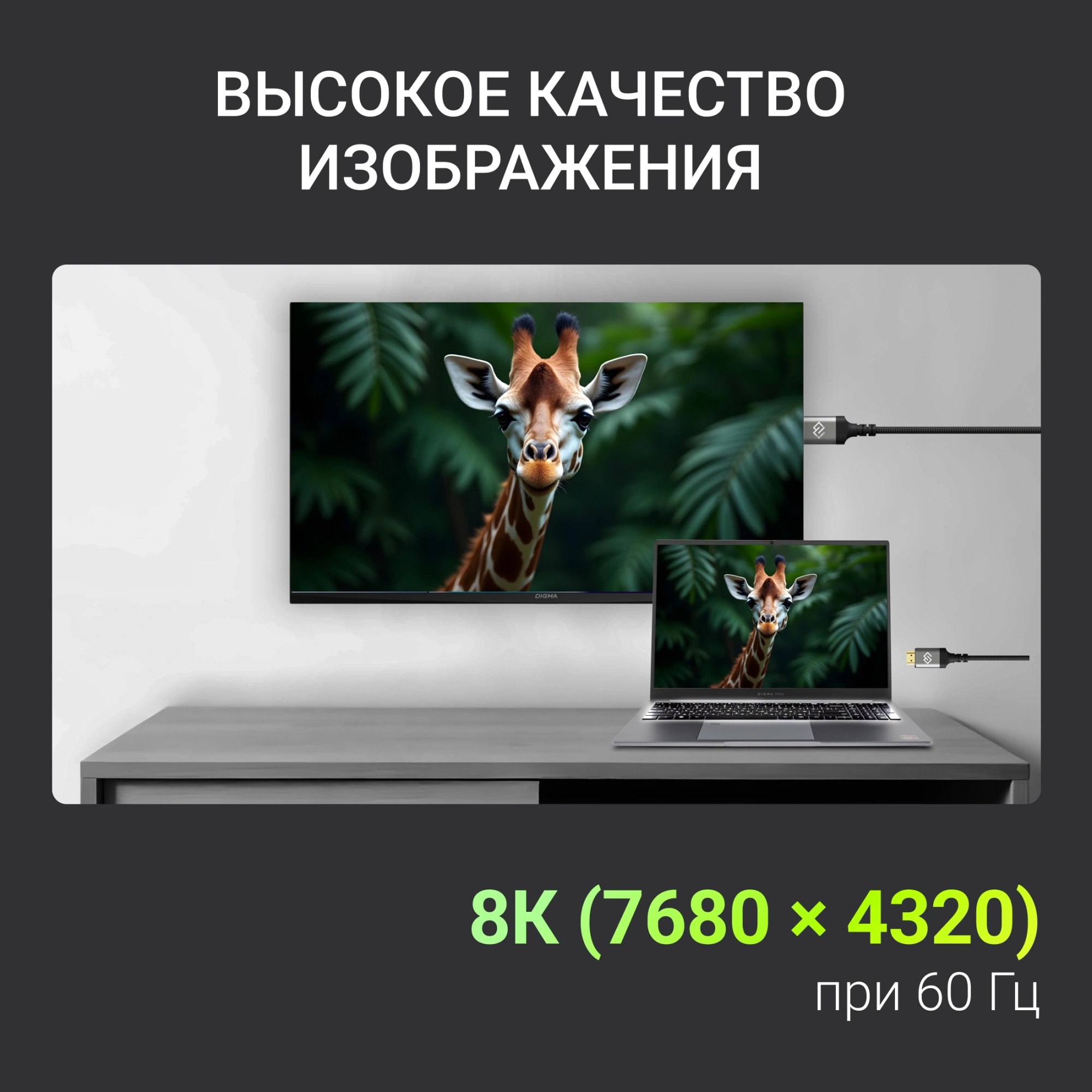 Кабель аудио-видео Digma HDMI (m)/HDMI (m) 3м. феррит.кольца позолоч.конт. черный (D-HDMI-2FF-V2.1-3M)