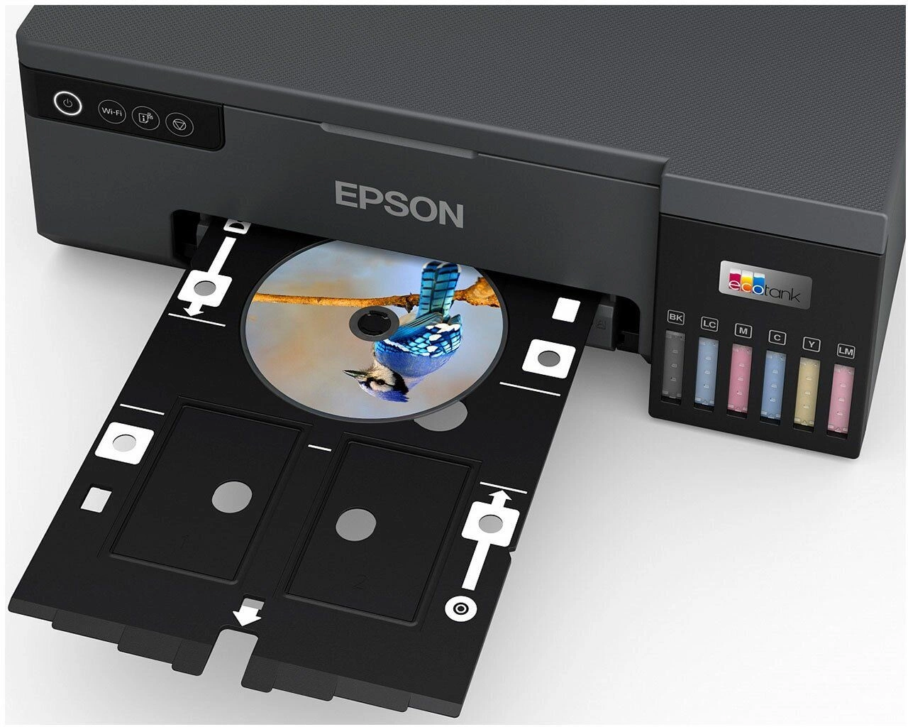 Принтер струйный Epson L8050 (C11CK37405/506/507/504/402) A4 WiFi черный