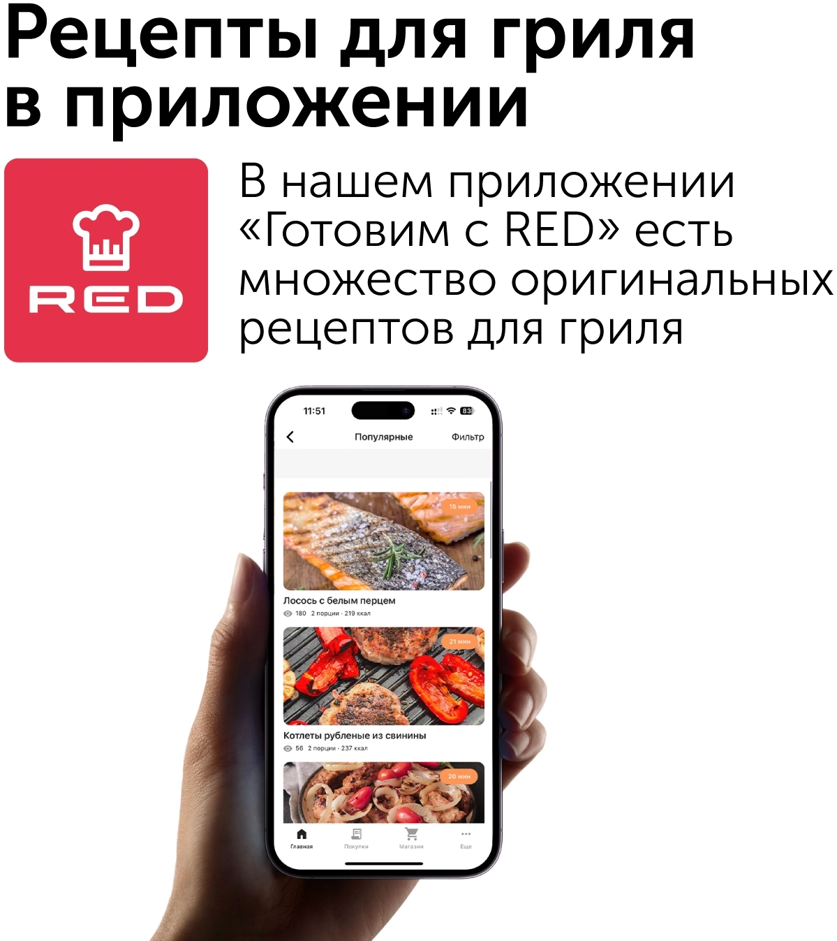Электрогриль Red Solution RGM-M815 2000Вт черный/серебристый