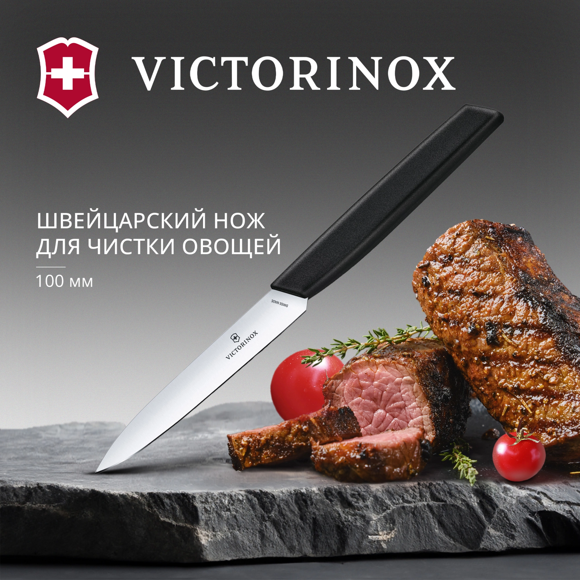 Нож кухонный Victorinox Swiss Modern (6.9003.10) стальной универсальный лезв.100мм прямая заточка черный