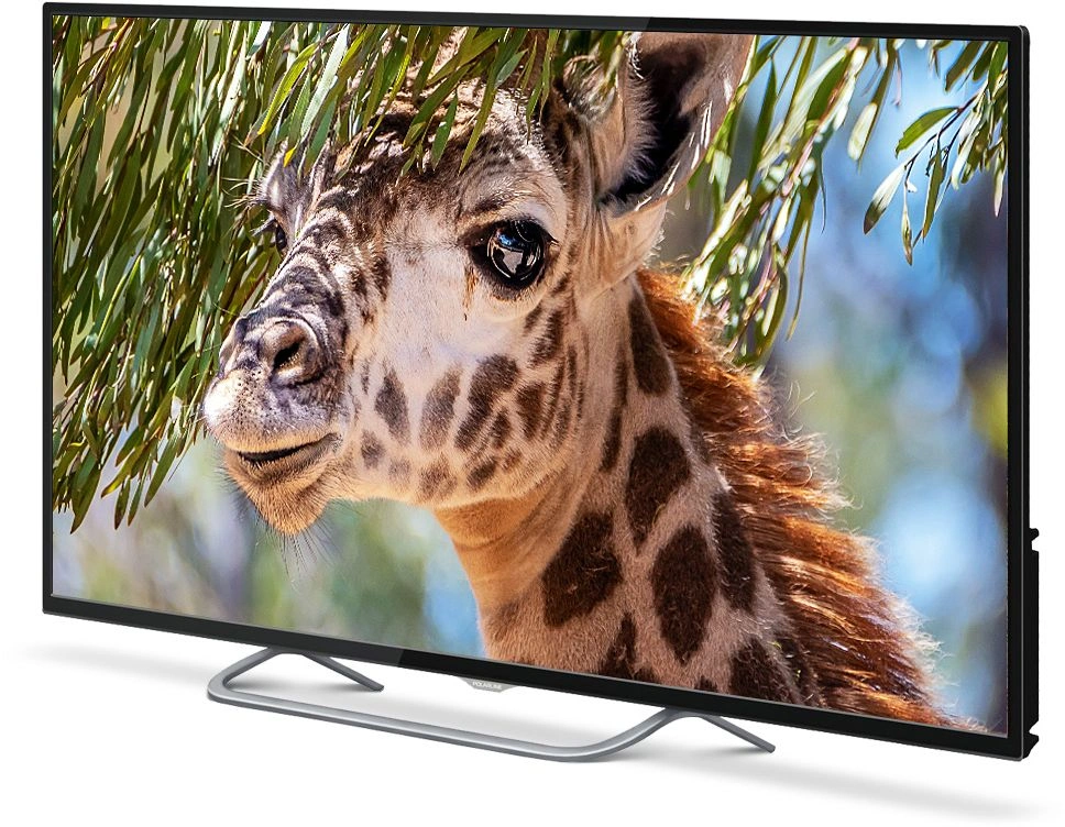 Телевизор LED PolarLine 50" 50PU11TC-SM черный 4K Ultra HD 60Hz DVB-T DVB-T2 DVB-C DVB-S2 USB WiFi Smart TV (RUS)