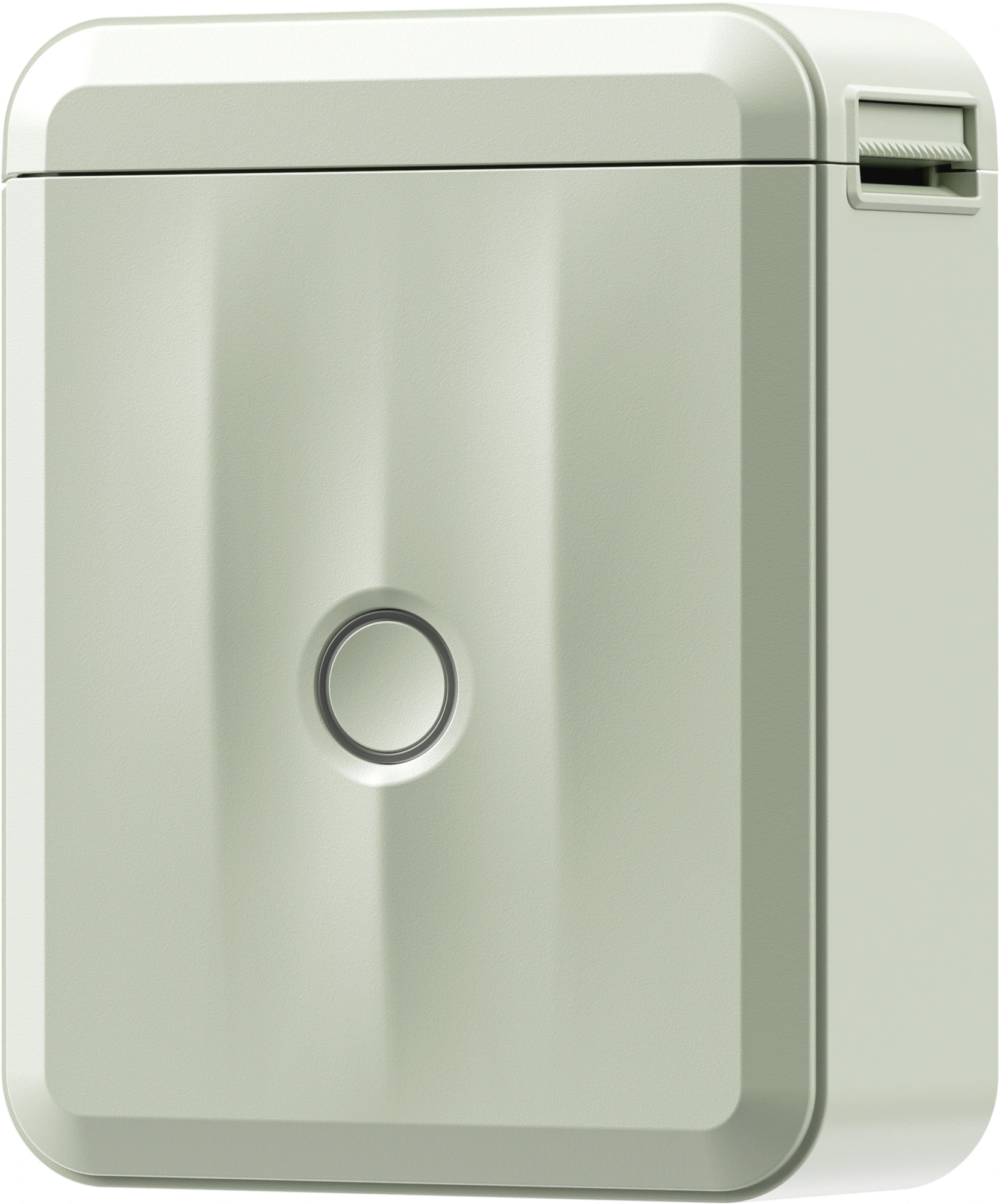 Термопринтер Niimbot D110 M (1746804) 203dpi 40мм/с/USB/BT для печ.этик. зеленый