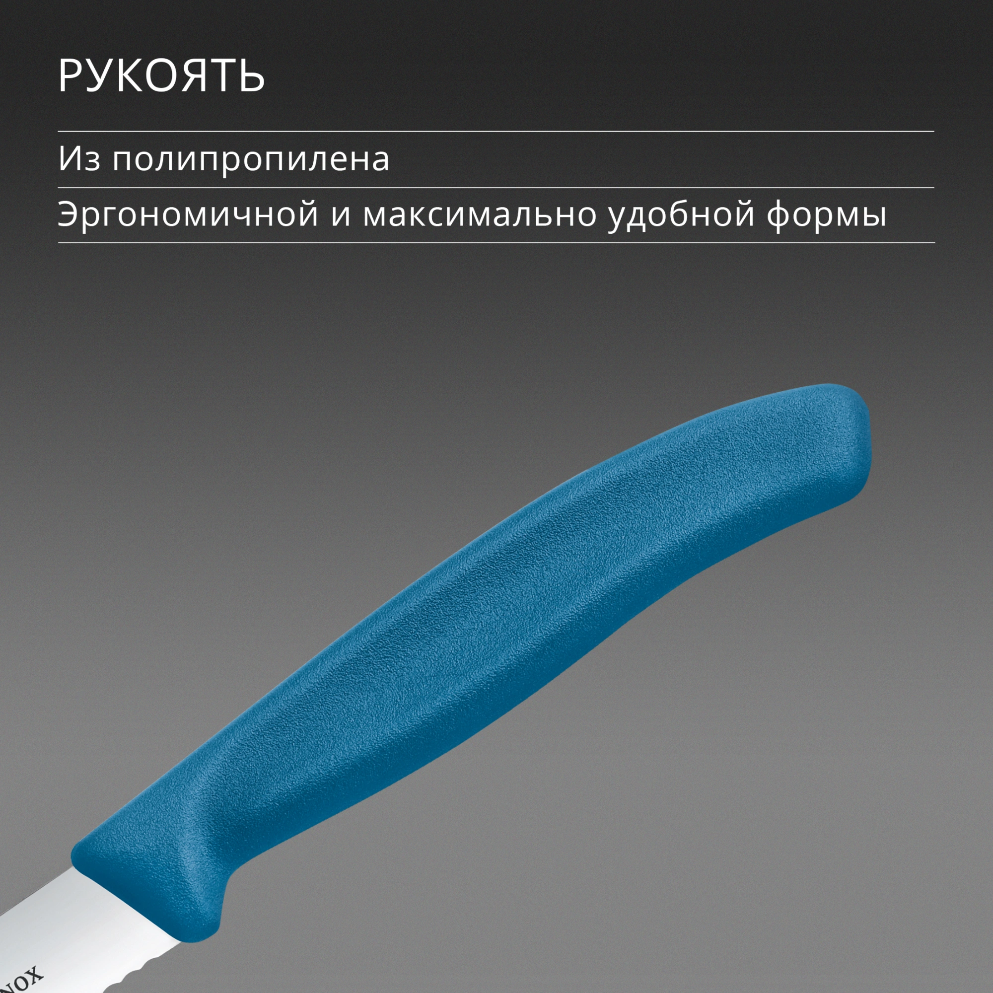 Нож кухонный Victorinox Swiss Classic (6.7732.C1) для чистки овощей и фруктов лезв.100мм серрейт. заточка синий