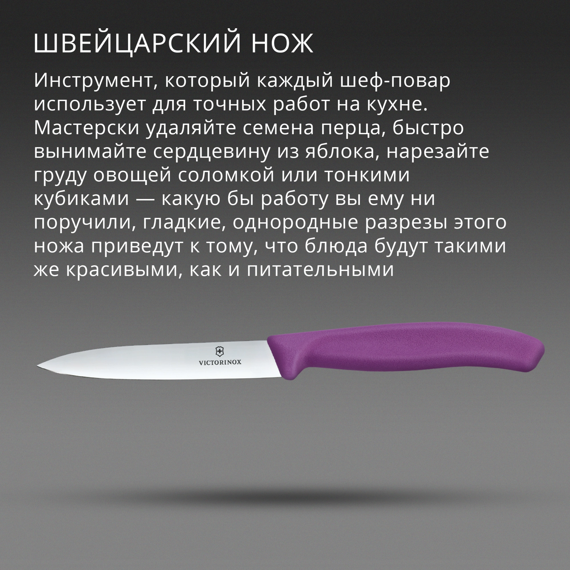 Нож кухонный Victorinox Swiss Classic (6.7705.C1) для овощей лезв.100мм прямая заточка пурпурный
