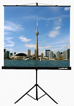 Экран на треноге Lumien 111" 200x200см Eco View LEV-100103 1:1 напольный рулонный