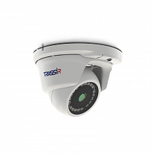 TR-D2S5-noPOE v2 3.6 - IP-камера
