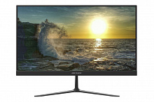 Монитор Hikvision DS-D5022F2-2V2(O-STD) (21,5", 1920х1080)