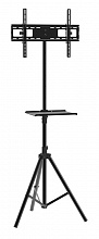 Подставка для телевизора Arm Media TR-STAND-2 черный 32"-70" макс.40кг напольный фиксированный