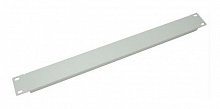 Панель бланкирующая NT FPANEL 1U G 104946 шир.483мм выс.44мм 1U серый