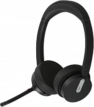 Наушники с микрофоном Yealink BH70 Dual UC USB-A черный накладные BT оголовье