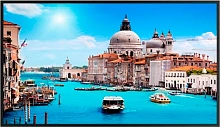 Панель Sber 65" SDPD-S65BU-1 черный IPS LED 6.5ms 16:9 HDMI M/M матовая 1200:1 500cd 178гр/178гр 3840x2160 4K USB 29кг