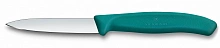 Нож кухонный Victorinox Swiss Classic 6.7604.C1 для чистки овощей и фруктов лезв.80мм прямая заточка зеленый