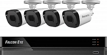 Комплект видеонаблюдения Falcon Eye FE-104MHD KIT Дача SMART